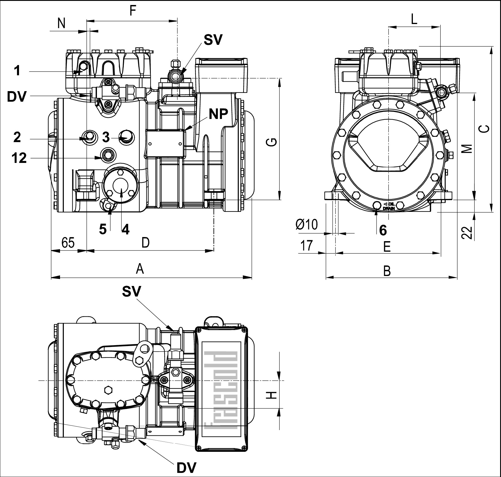 Схема Frascold D4-19.1Y