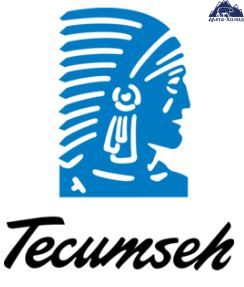 Моноблок Tecumseh TFH 2511Z